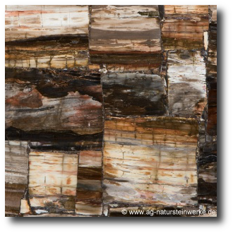 petrified-wood-luxusstein.png